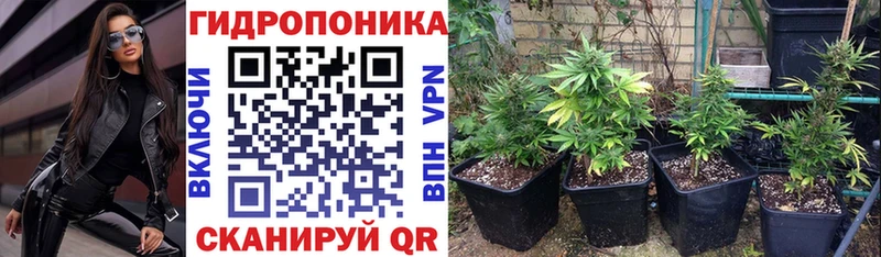 Шишки марихуана MAZAR  где продают   Туапсе 